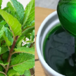 Mint is a plant with multiple benefits