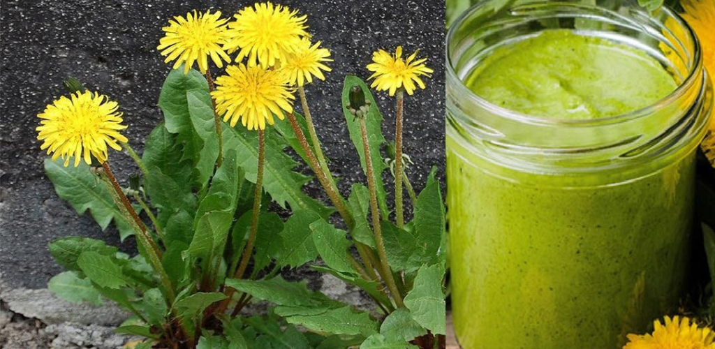 Dandelion Roots: Benefits