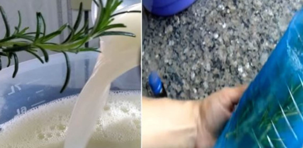 Homemade Cleaning Products – My Bathroom Never Smelled Like Urine Again