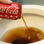 POUR A DROP OF COCA COLA INTO THE TOILET, THE RESULT MAY SURPRISE YOU