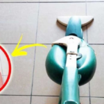 Scent your entire house just by vacuuming with a simple trick