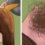 More and more people nowadays complain of excessive hair loss after having the flu or another illness.