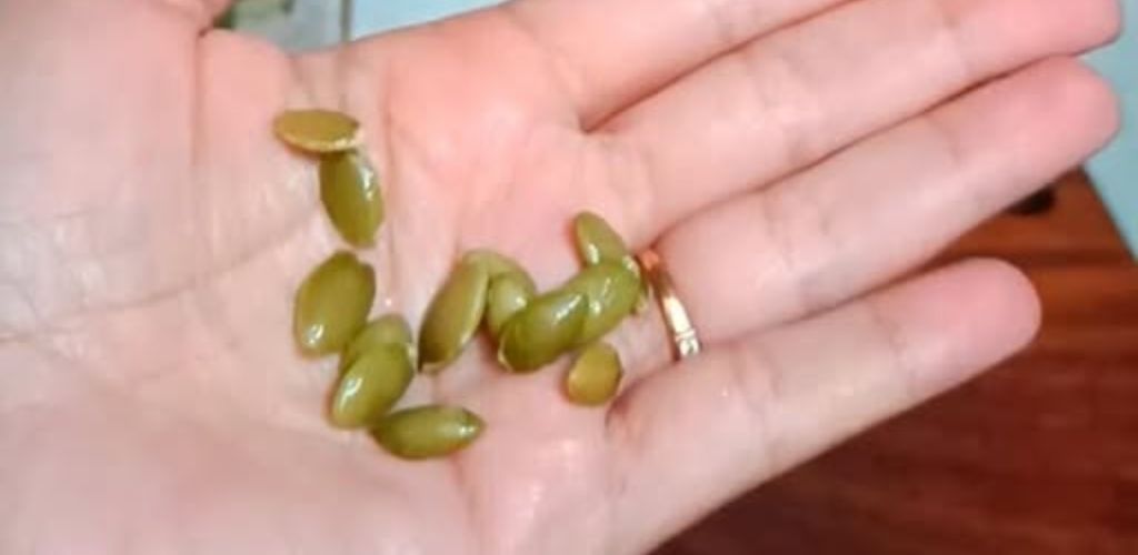 A few pumpkin seeds a day can do wonders for your health, but most people don’t know this…