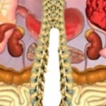  5 minutes for full body balance for knee, lower back, neck and leg pain!  Don’t miss this opportunity to find out how to deal with pain and regain your comfort!