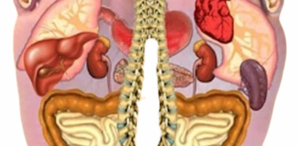  5 minutes for full body balance for knee, lower back, neck and leg pain!  Don’t miss this opportunity to find out how to deal with pain and regain your comfort!