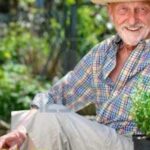 Natural treatments for trees and vegetables – ideas from gardener folklore