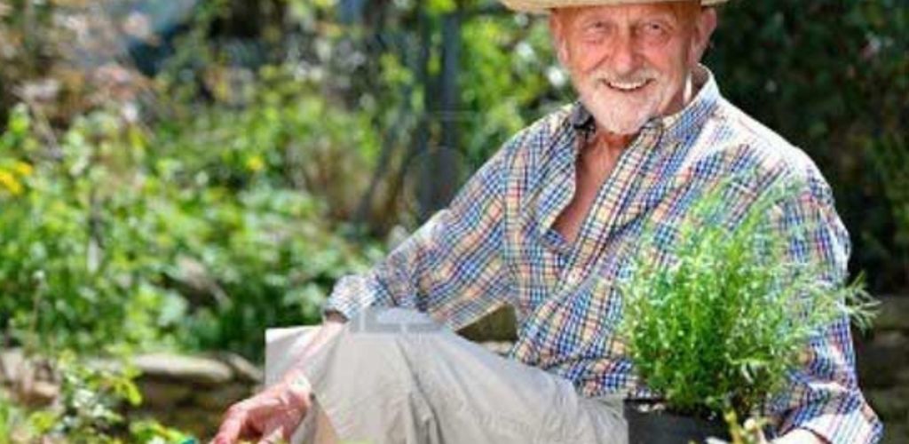 Natural treatments for trees and vegetables – ideas from gardener folklore
