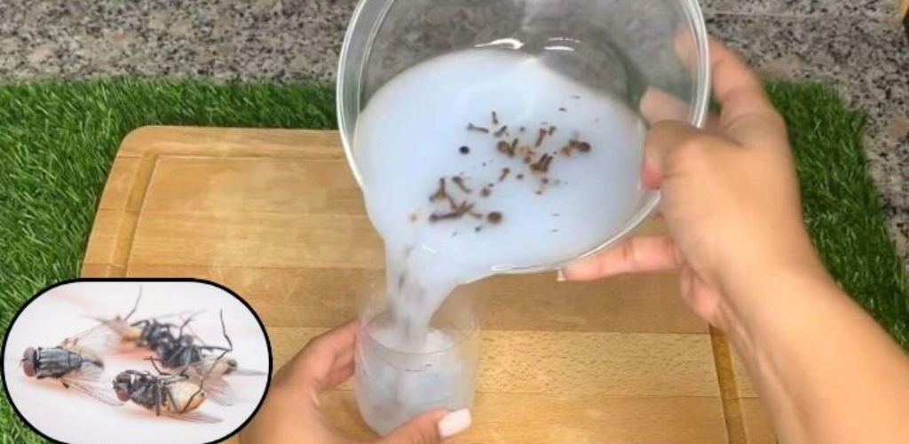 Tip: Your kitchen will smell good and all the flies will disappear