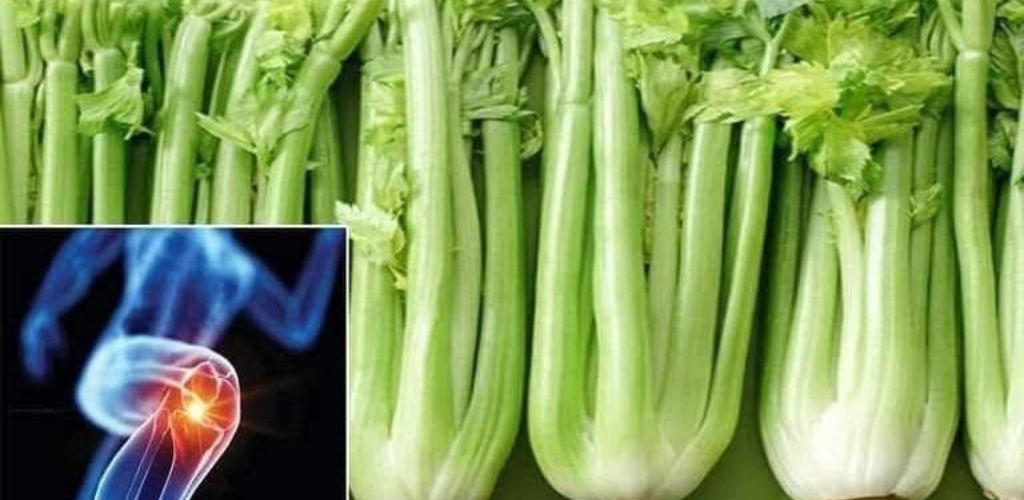 Celery Water is Diuretic and Depurative: Benefits and Healthy Uses
