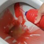 THE BOTTLE TRICK TO ALWAYS KEEP THE BATHROOM CLEAN: WITHOUT TOUCHING FOR 1 MONTH