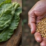 This recipe is designed to help combat fatty liver, regulate blood sugar levels and relieve muscle pain.