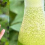 The drink that cures all diseases, cures diabetes, poor circulation, high blood pressure without having to take expensive pills