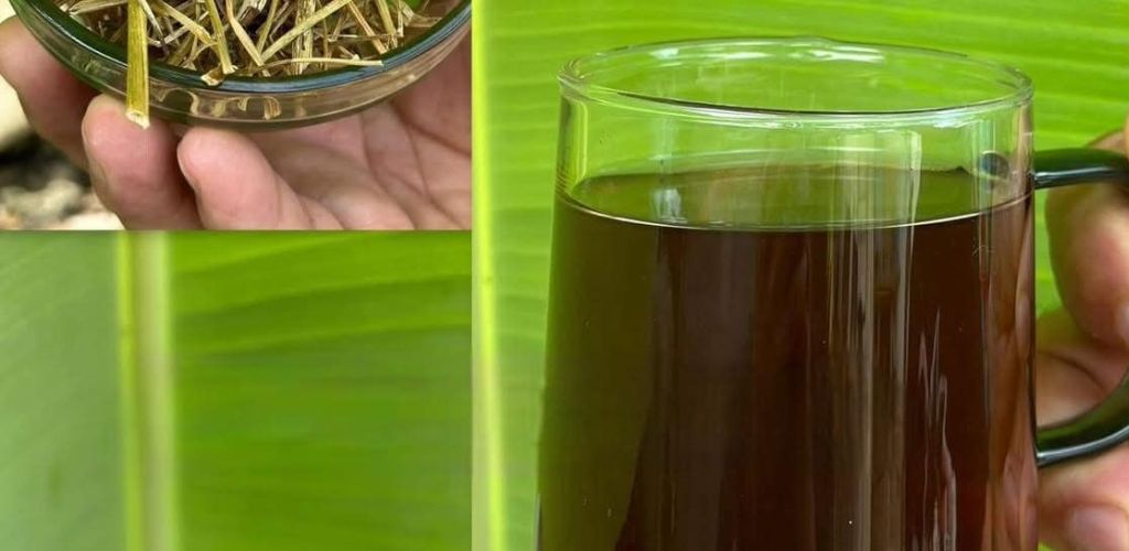 It relieves stomach discomfort, relieves gas, stops diarrhea and helps you lose weight. 