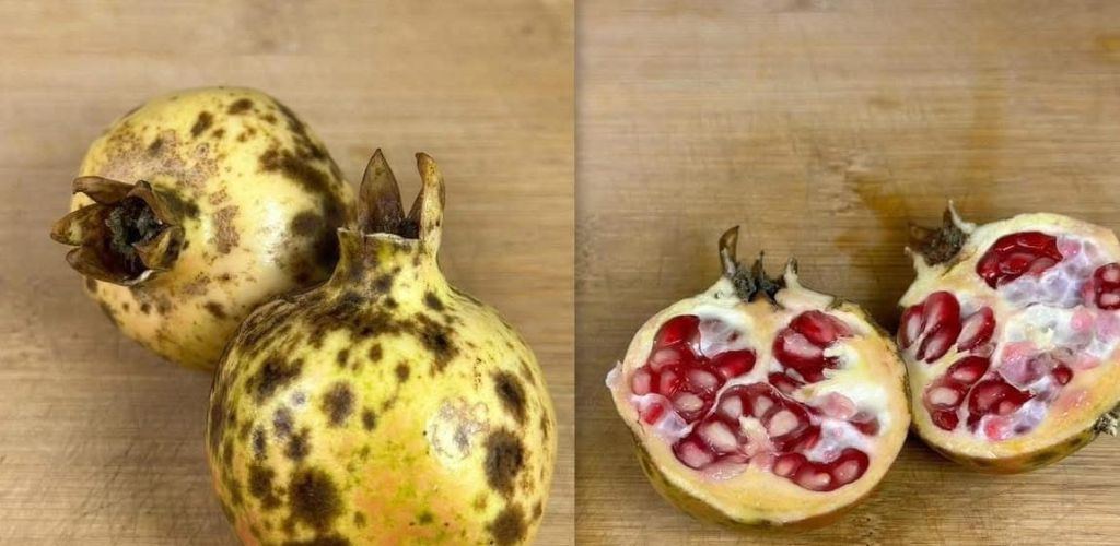 The drink prevents prostate cancer, controls diabetes and poor circulation