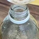 Mix vinegar with pepper and you will never have dog and cat urine again