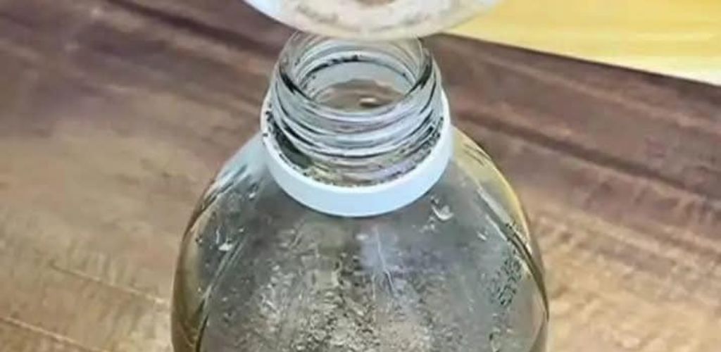 Mix vinegar with pepper and you will never have dog and cat urine again