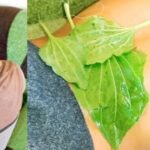 For joint pain, persistent cough and inflammation of the musculoskeletal system