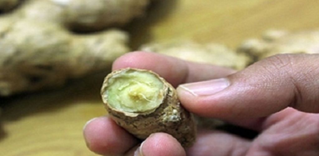 Destroy warts, skin tags, moles, age spots, and blackheads completely naturally with these powerful remedies! 