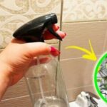 How to perfume the bathroom with the orange peel trick?