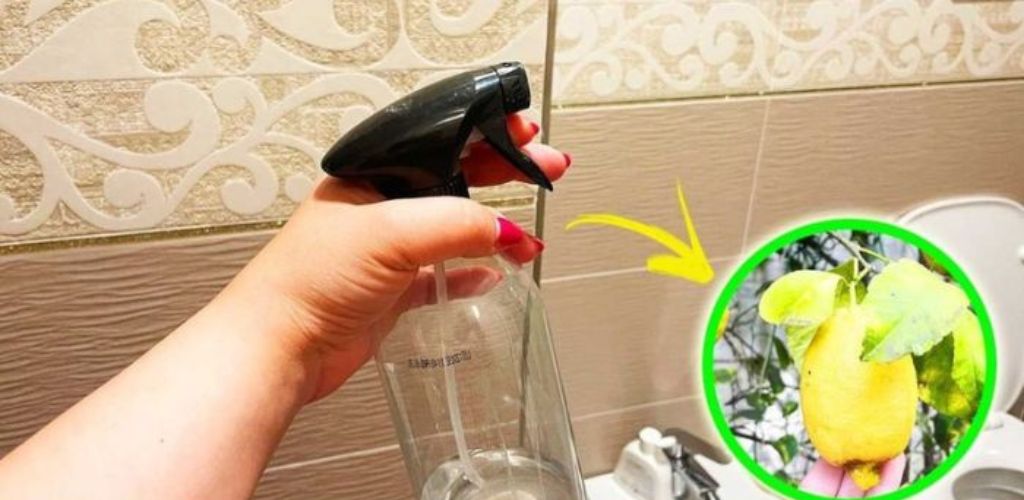 How to perfume the bathroom with the orange peel trick?