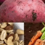 A Vibrant Vegetable Salad for Better Health