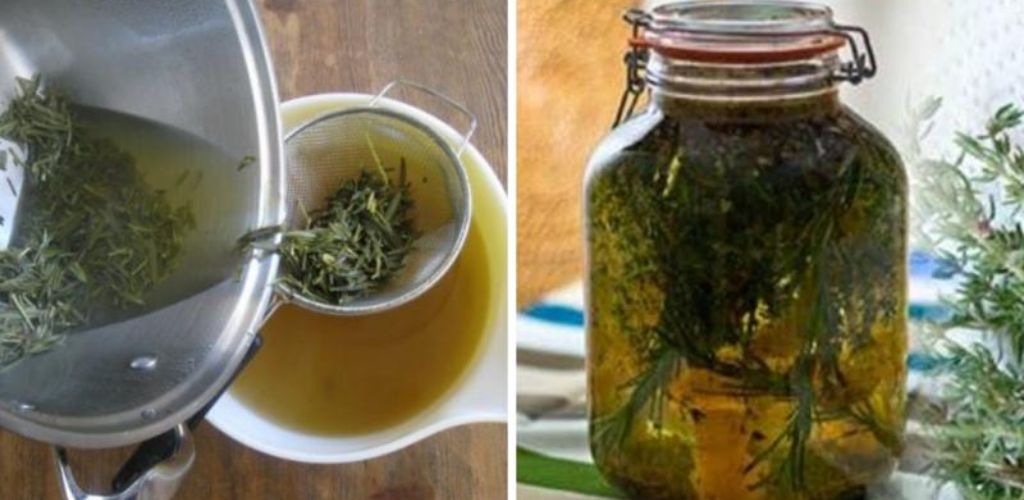 Put rosemary with oil in a jar: you will want to do this every nightPut rosemary with oil in a jar: you will want to do this every night