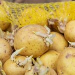This Amazing Trick Stops Your Potatoes From Sprouting