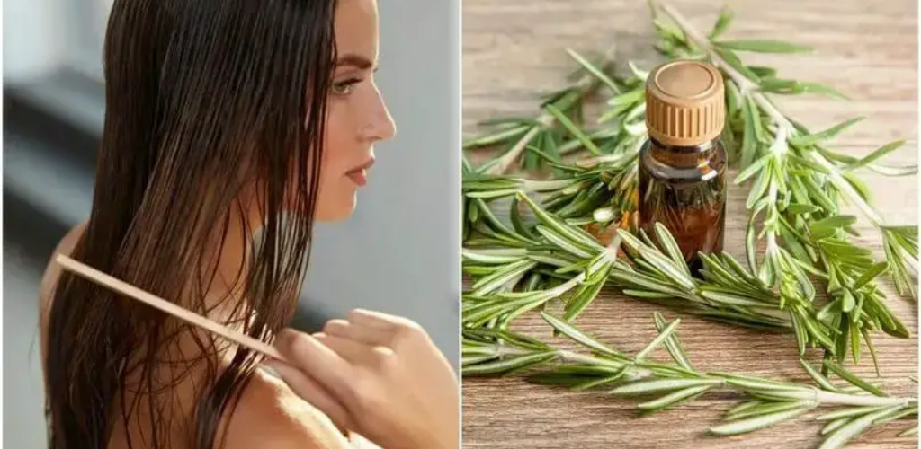 Three Treatments with Rosemary to Stop Hair Loss and Achieve a “Rapunzel” Effect