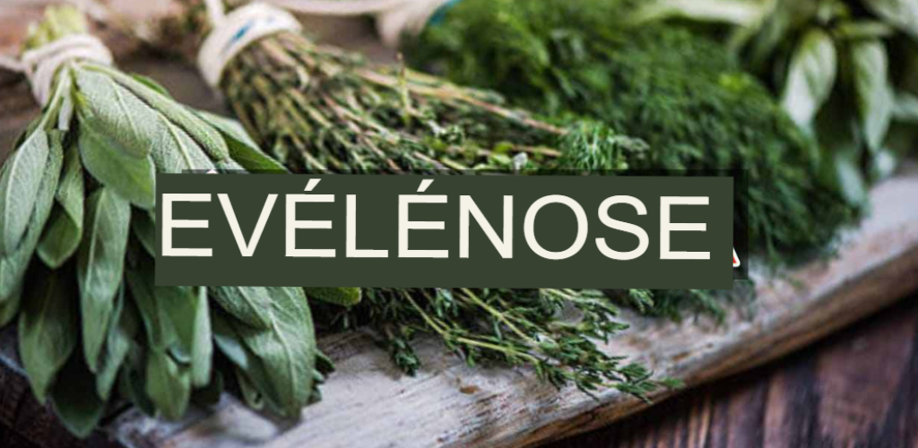 Be careful with this plant, it is poisonous: yet it is used to flavor all dishes
